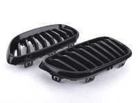 Gloss Black Blackout Grille Set - F22