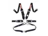 RaceQuip FIA Approved Euro Style Camlock Harness Set