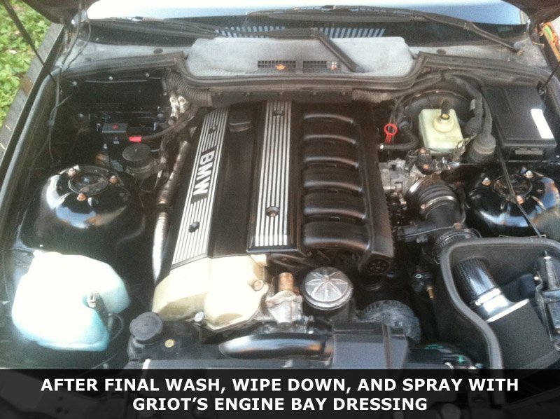 20244 Griot's Garage Engine Bay Dressing Turner Motorsport