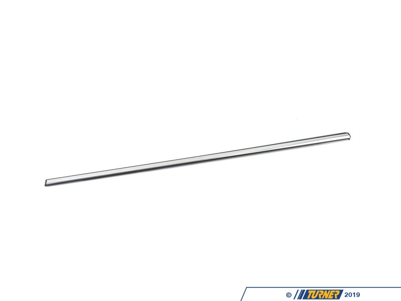 51359810469 - Genuine MINI Outer Weatherstrip, Rear Lef | Turner Motorsport