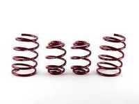 H&R Race Spring Set - E36 318ti Compact