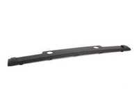 Bumper Impact Strip / License Plate Bracket - Center - E36 M3