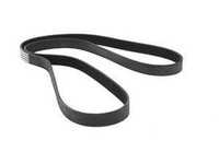 OEM Continental Serpentine Drive Belt - N54 - E90 E92 335i 335xi, E82 135i