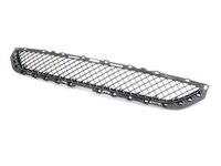 Bumper Grill - E46 323ci, 325ci, 328ci 330ci 1999-2003
