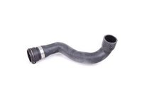 Lower Radiator Hose - Z3 2.3, 2.5i, 2.8, 3.0i