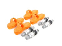 Complete TPMS Set with Valve Stems and Hardware (Early Style Models)