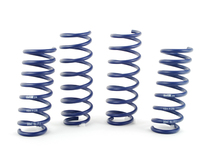 H&R Sport Spring Set - F10 528i 535i, F06 640i, 650i Gran Coupe