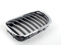 Kidney Grill - Chrome Trim w Titanium Slats - Left - E53 X5 2000-2003