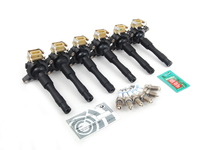 OEM Ignition Service Kit - M52 S50/52