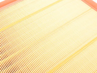 OEM Air Filter - E70, E71, F01, F25