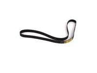 Belt - Serpentine Belt - E38 E39 540i (99-03) X5