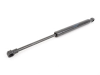 Gas Pressure Spring