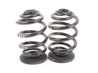 Rear Spring Set - Genuine BMW - Sport Package - E36 318i 325i 328i