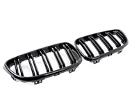 Gloss Black Dual Slats Blackout Grille Set - F22
