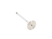 Exhaust Valve for 1993-2000 3-series (M50, M52, M52TU)