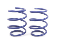 H&R Front Sport Spring Set - E60 545i with Self Leveling
