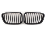 Black Center Grills - F07 535i GT, 535i xDrive GT, 550i GT, 550i xDrive GT