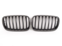 Carbon Fiber Center Grills - E70 X5 - E71 X6
