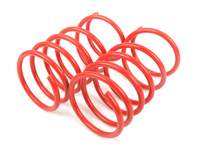 H&R Race Spring Set - E36 M3 1995