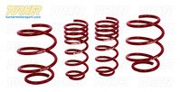 Turner Motorsport-H&R Race Spring Set for Mini Cooper S