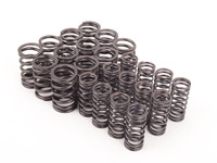 Schrick Valve Spring Set - E30 325i M20 engine
