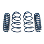 E93 328i Convertible Dinan Performance Spring Set