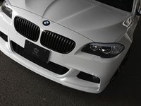 F10 528/535/550 M Sport 3D Design Front Lip Spoiler