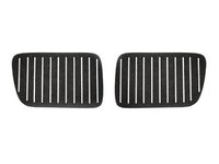 HARD Motorsport Kidney Grill Aero Plates -- BMW E36