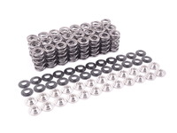 Supertech High Performance Valve Spring Set - E46 M3, MZ3 (S54), MZ4