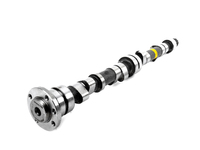 Schrick Camshaft - 2002