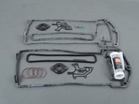 ECS M62TU Vanos Seal Upgraded Rebuild Kit