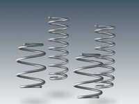 AC Schnitzer Performance Springs - E46