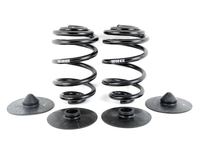 E46 M3 Coupe Factory Replacement Rear Springs with pads